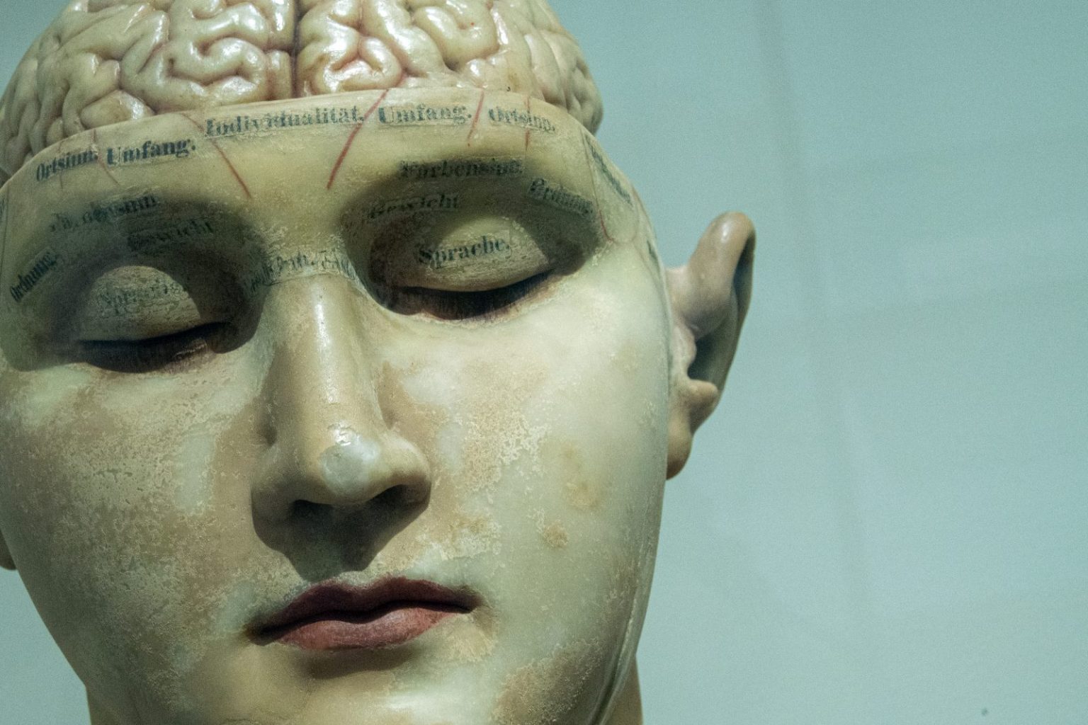 Brain Inventor Great Design | Inventors Master Course